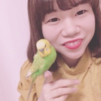 あいりー